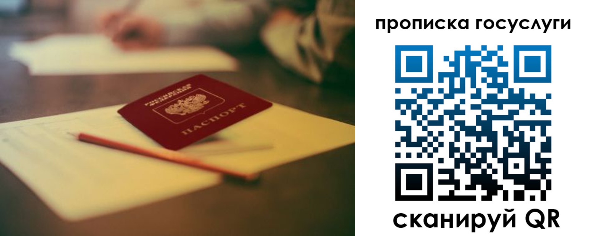 прописка для школы в Сосновке